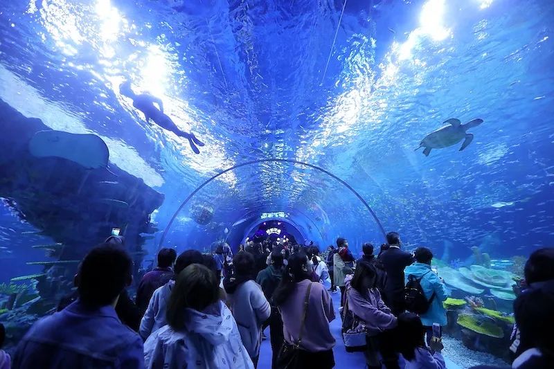 突然天津海昌極地海洋公園股權全部轉讓