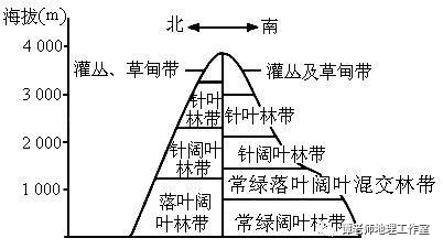 山脉的南坡为亚热带季风气候,为亚热带常绿阔叶林.