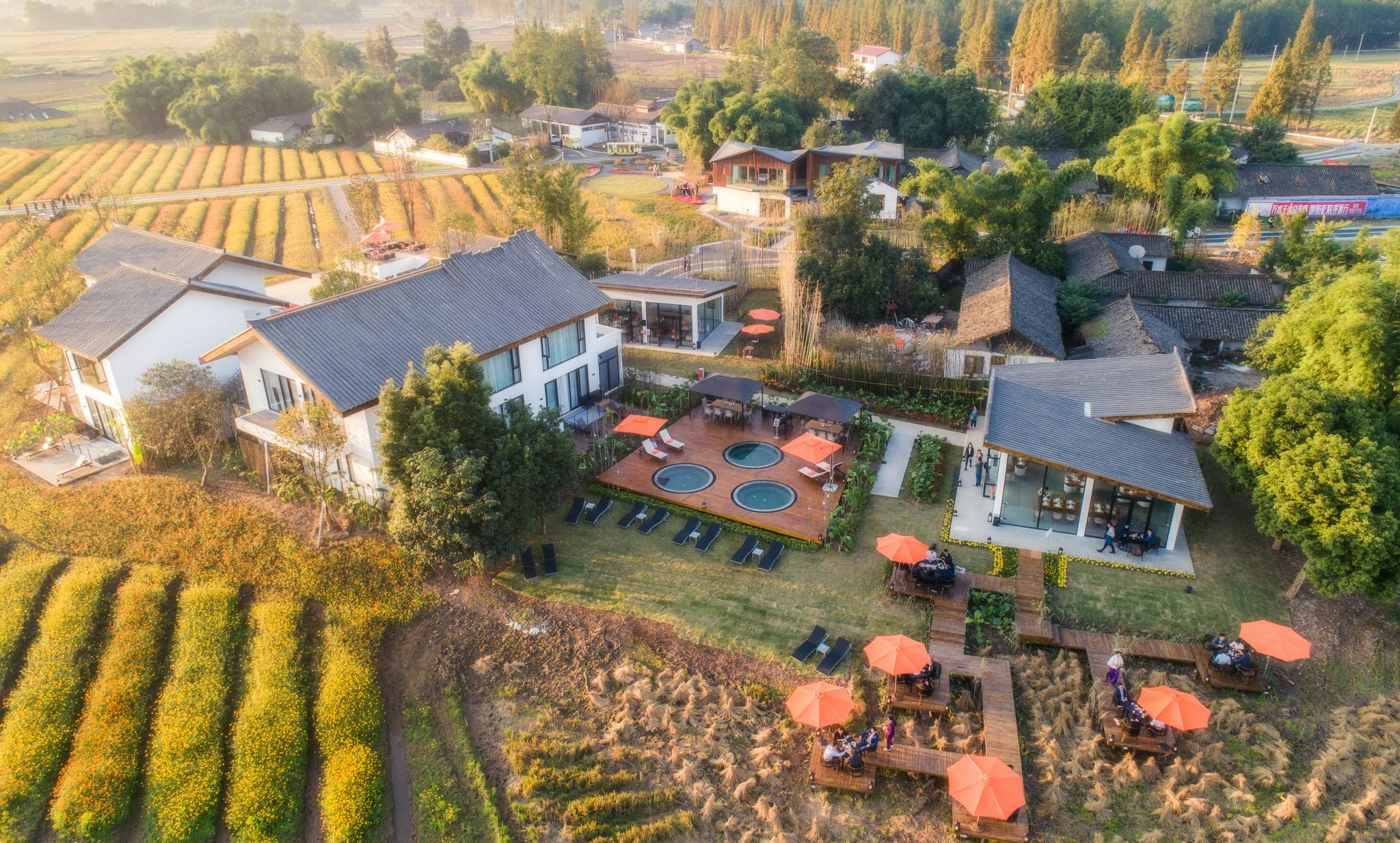 四川省成都市大邑县安仁镇南岸美村本次发布活动期间,20个往届"小镇