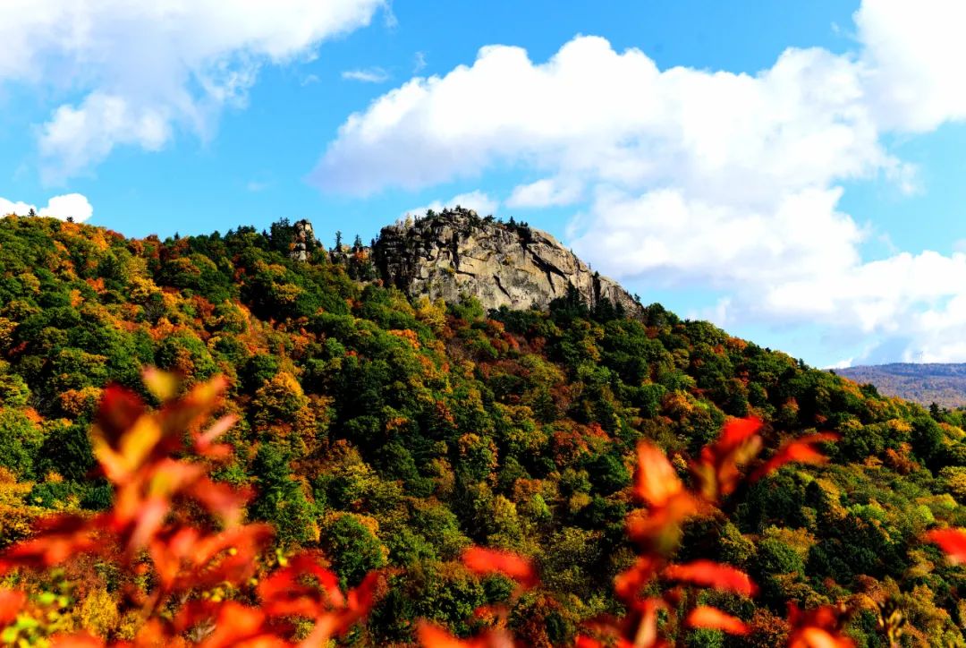 带伟明字的优美诗词,带伟明字的优美诗词句