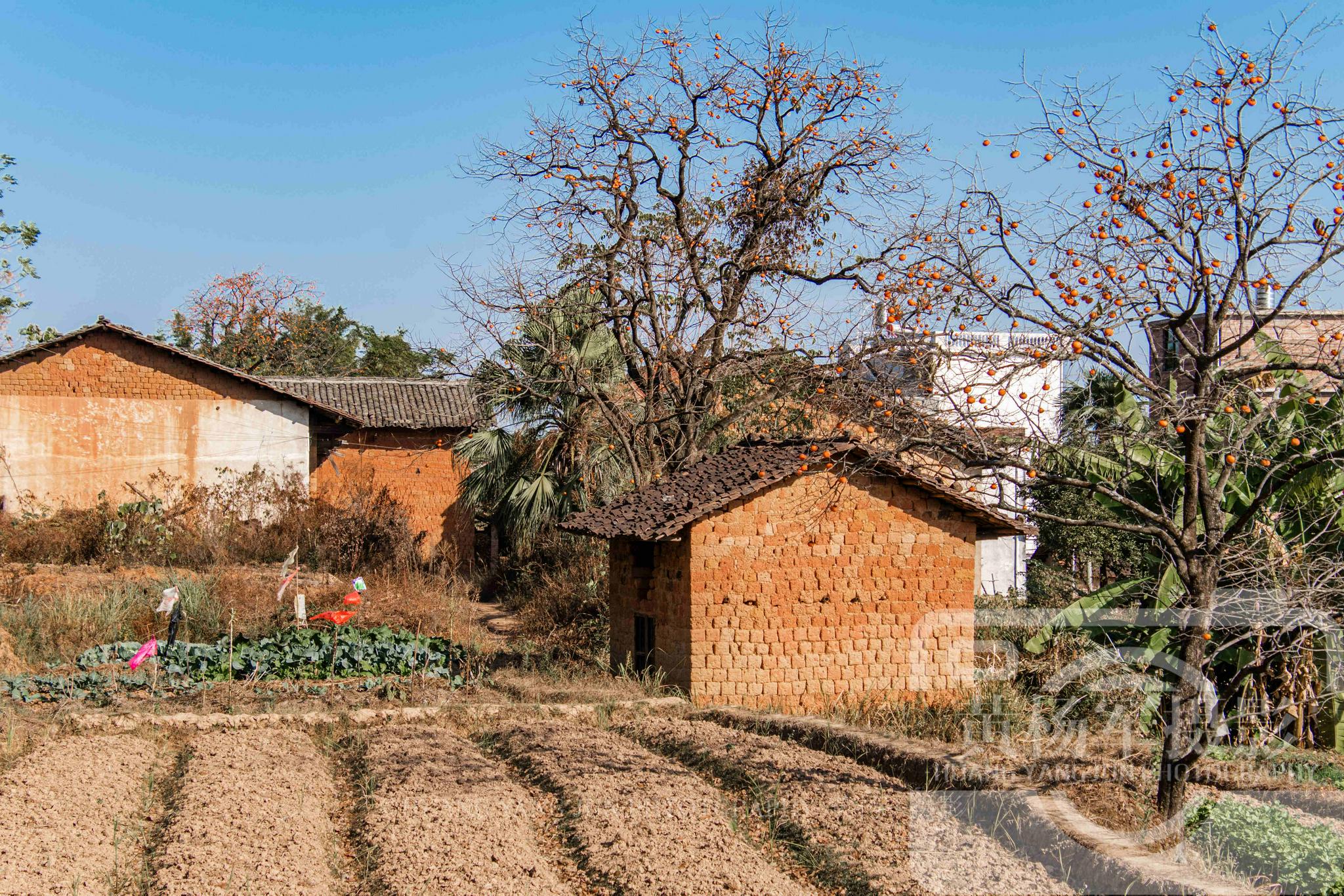 广东客家人最多的城市户籍人口54396万人乡村老屋景象很熟悉