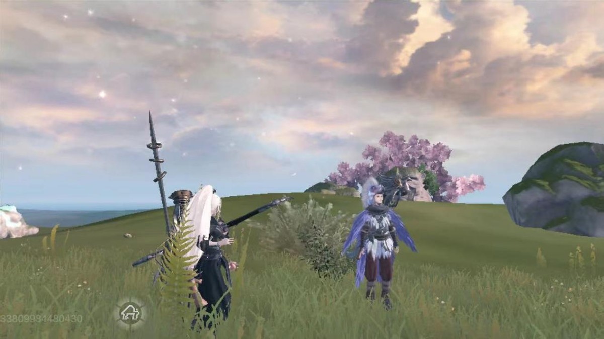 妄想山海游侠戚杀生此生痴心求一败