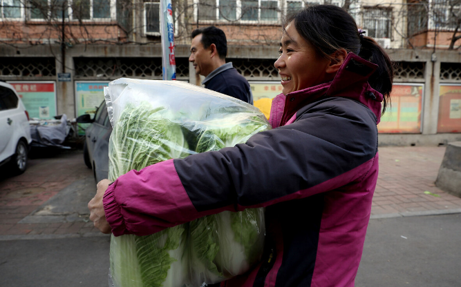 东北大妈囤300斤白菜惹争议南方人瞠目结舌怎么吃得完