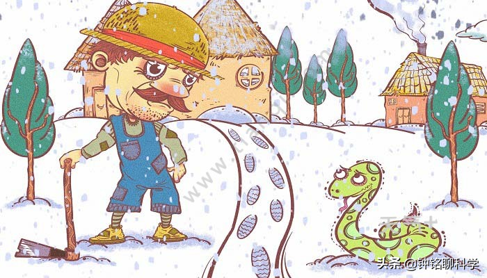 蛇冬眠为啥毫无自保能力眼睁睁看着自己被老鼠啃食却无力还击