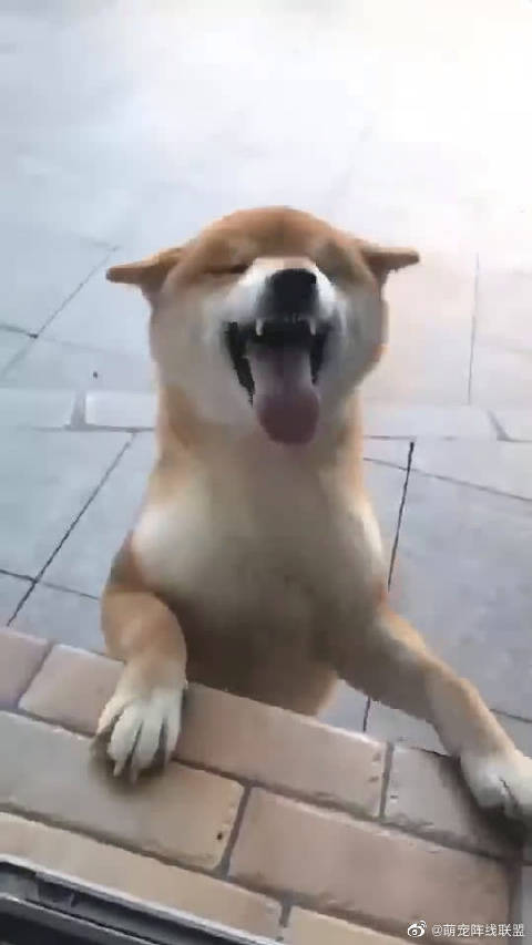 嬉皮笑脸的近义词如下嬉皮笑脸的近义词喜笑颜开嬉笑怒骂玩世不恭嬉皮