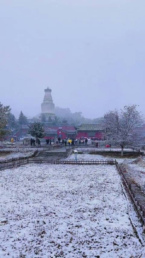 山西五台山下雪啦