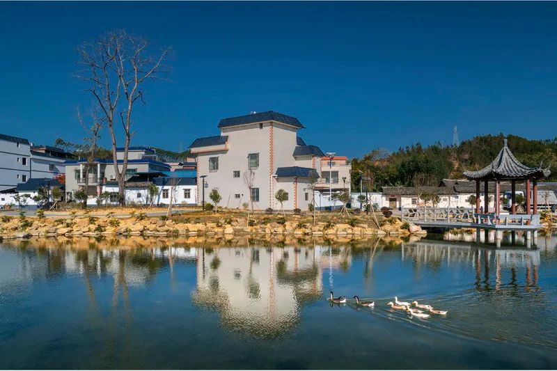 征集| "兰韵翁源·诗画田园"全国摄影作品展邀你记录最美翁源|翁源