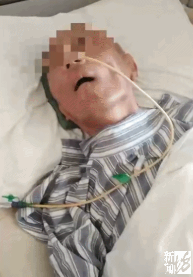 【1024·离谱】上海阿姨为植物人丈夫办残疾证，却被要求“必须植物人本人来”...休闲区蓝鸢梦想 - Www.slyday.coM