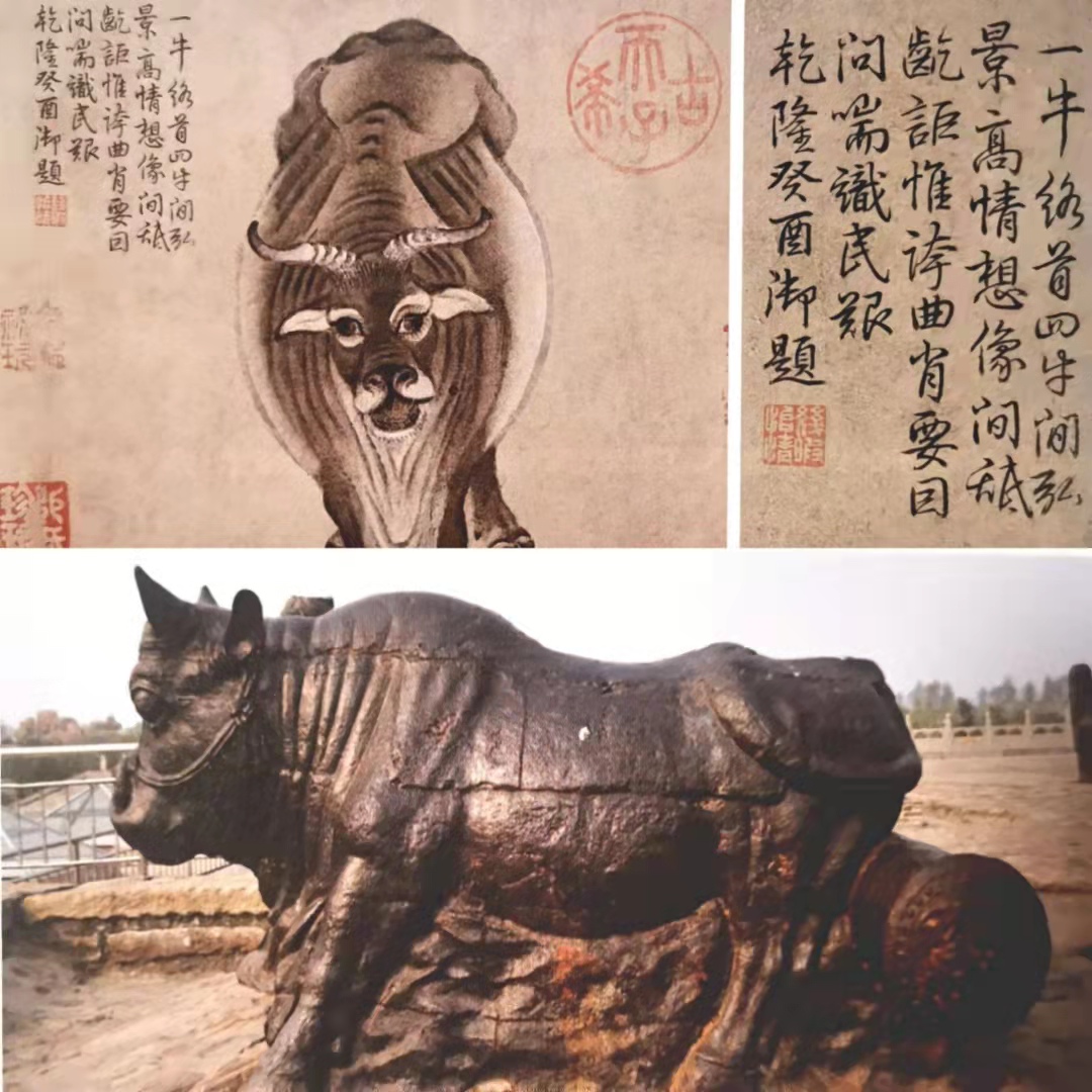 韩滉《五牛图》卷(局部)与唐代黄河大铁牛的对比