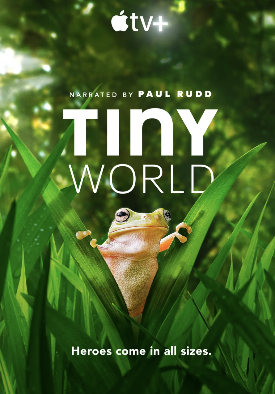 《小小世界》第二季海报