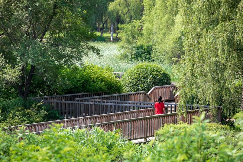 游沈北大溪地 感受自然之美|大溪地|沈阳市_新浪新闻