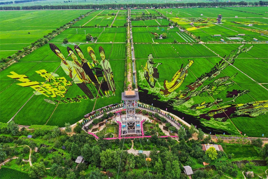 稻梦空间(央广网发 沈北新区委宣传部供图)