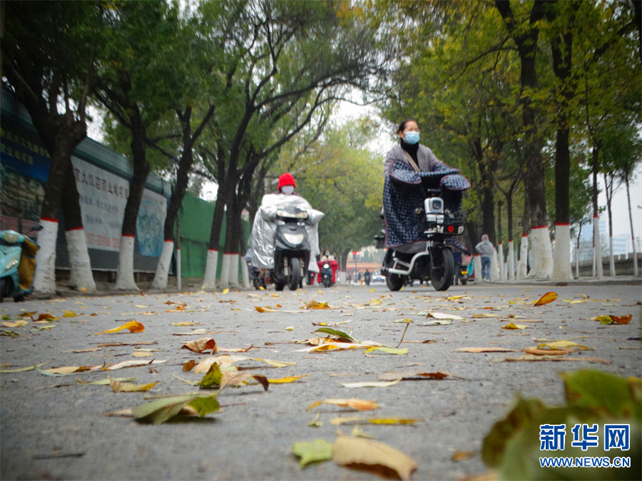 河南开封:大风降温天气寒|河南省|开封市|大风_新浪新闻