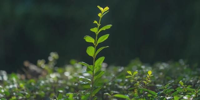 北京科技大学保研怎么样?全员上岸,共赴美好!休闲区蓝鸢梦想 - Www.slyday.coM