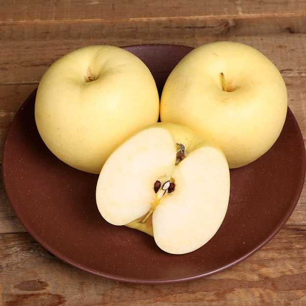 在我国很多地区都有专业的种植基地,其中长武黄元帅苹果无论是口感