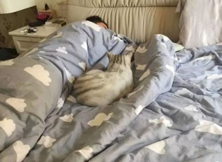 猫咪趁主人熟睡后钻进被窝，主人一脸嫌弃赶走猫咪，猫咪表情亮了休闲区蓝鸢梦想 - Www.slyday.coM