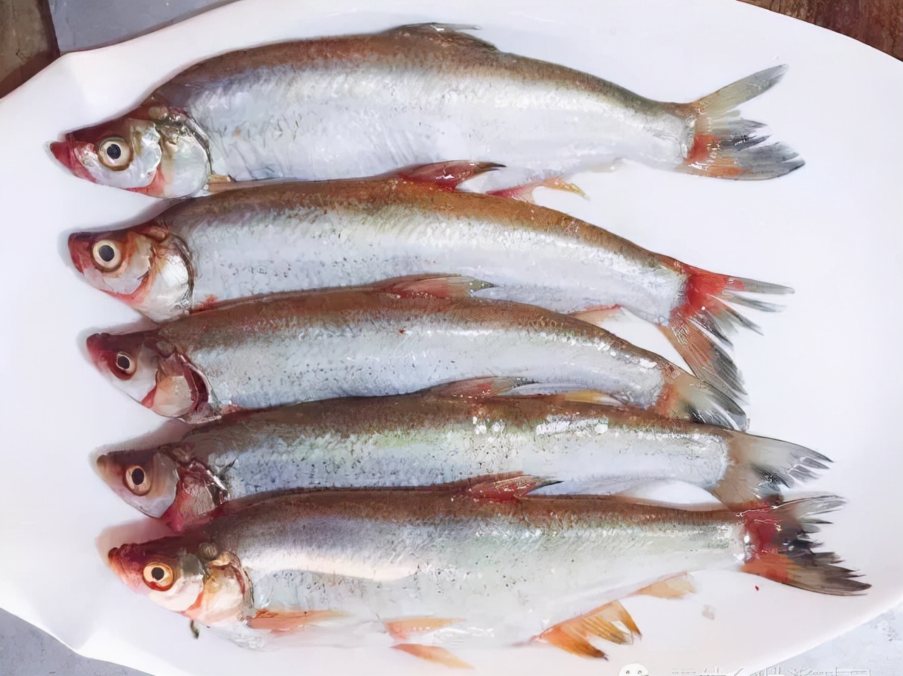 松花湖的什么淡水鱼好吃本地人推荐三花一岛刺少肉嫩味鲜