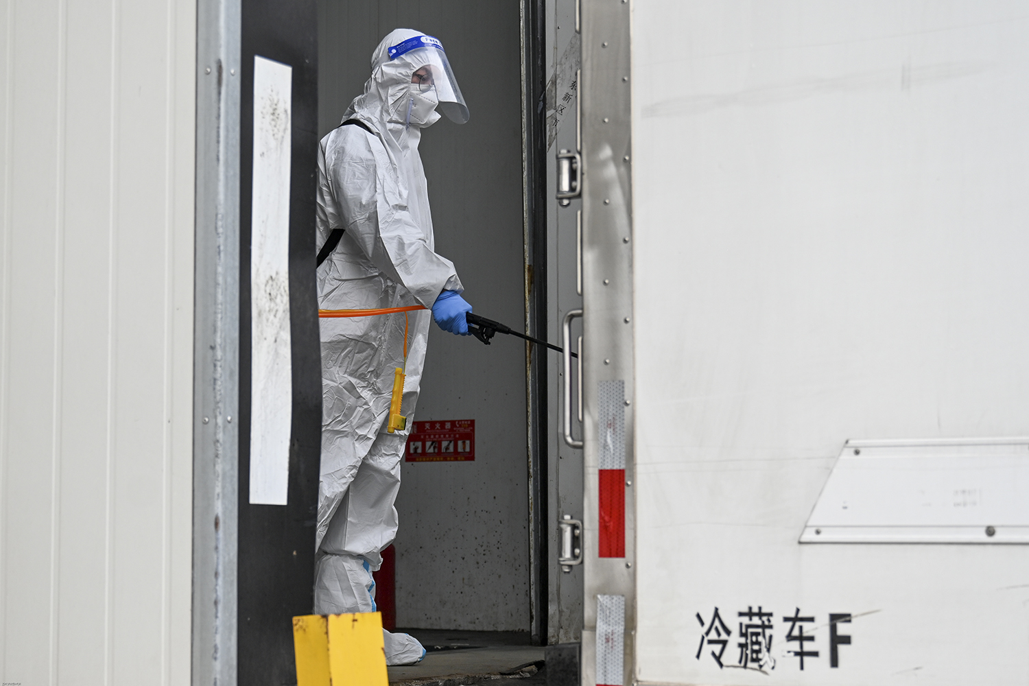 进博直击|消毒到最小包装!进口冷链食品展品"第一车"进仓