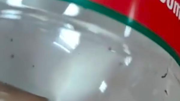 农夫山泉回应“未开封瓶装水现蛆虫”：生产过程不可能进虫卵