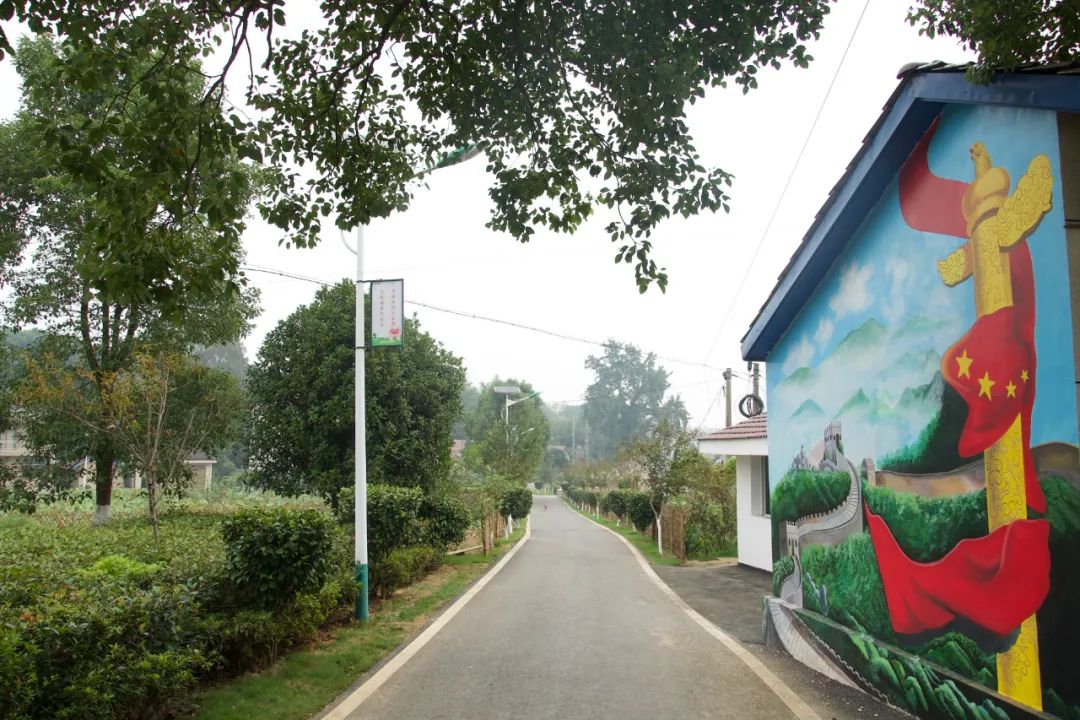 工业强镇灌溪镇政府做客阳光政务直播