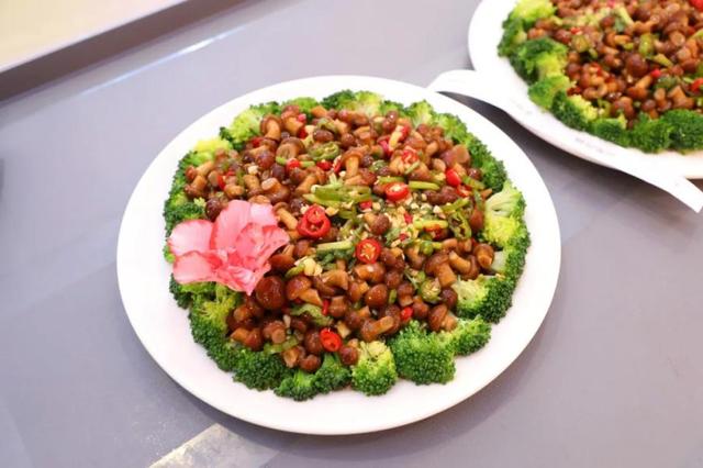 磐石市:"第一届石城美食盛宴百姓节"举行|磐石|石市|石城_新浪新闻