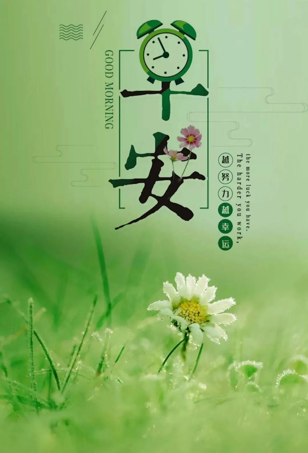 早安心语正能量很火语录 很赞的早上好图片带字