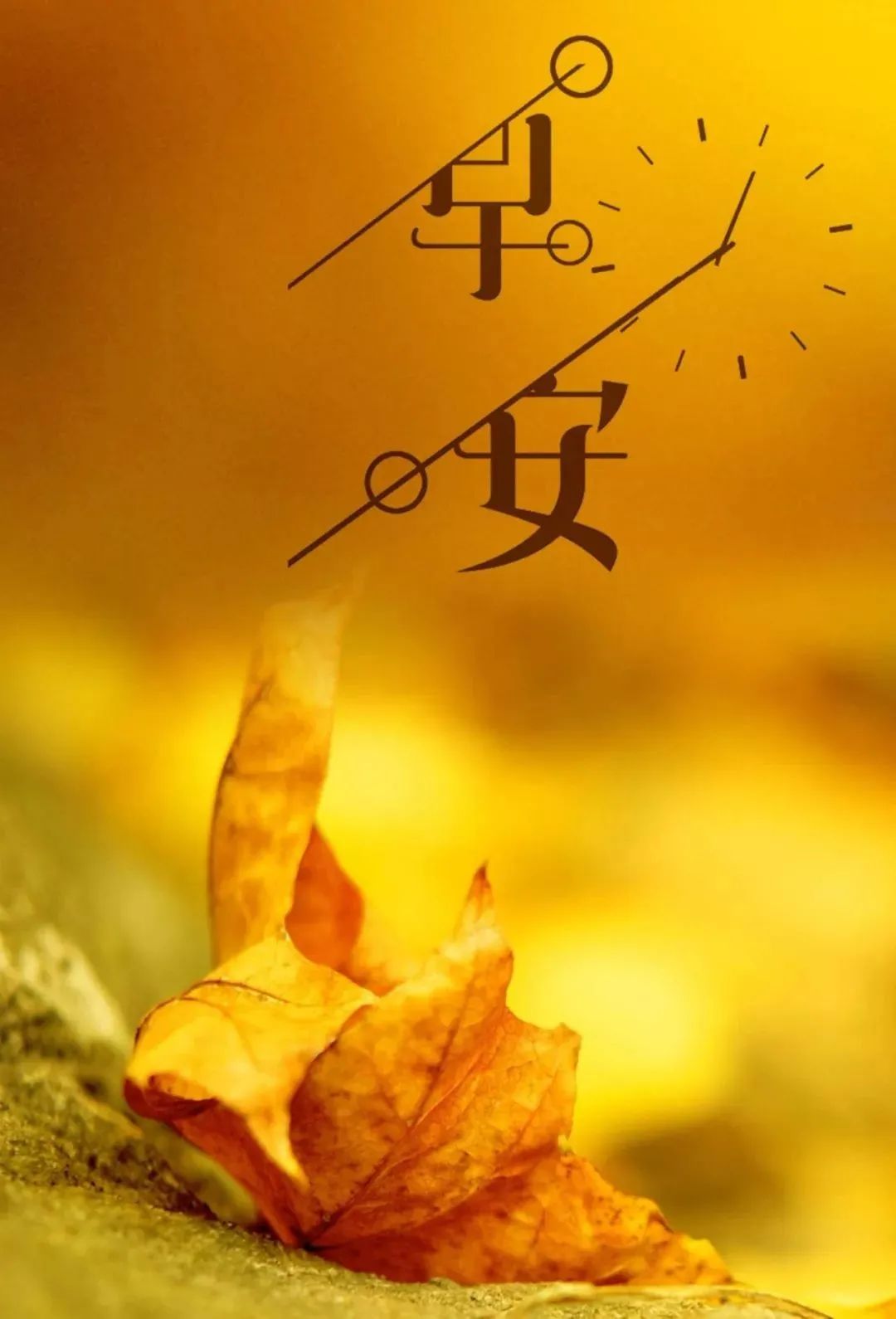 早安心语正能量很火语录 很赞的早上好图片带字