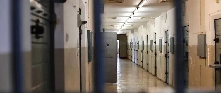 天立教育董事会主席被调查：股价年内已跌超80