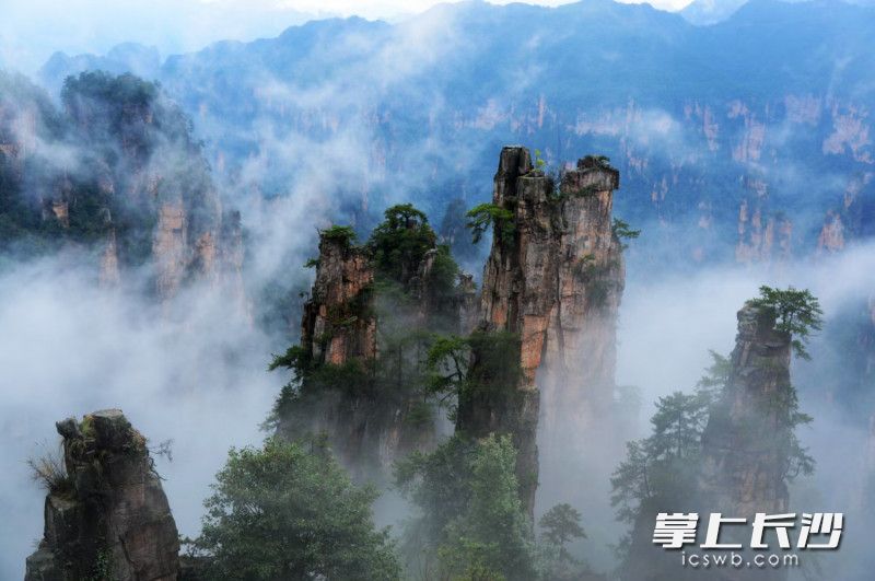 组图|腾云驾雾天子山|长沙市|张家界市_新浪新闻