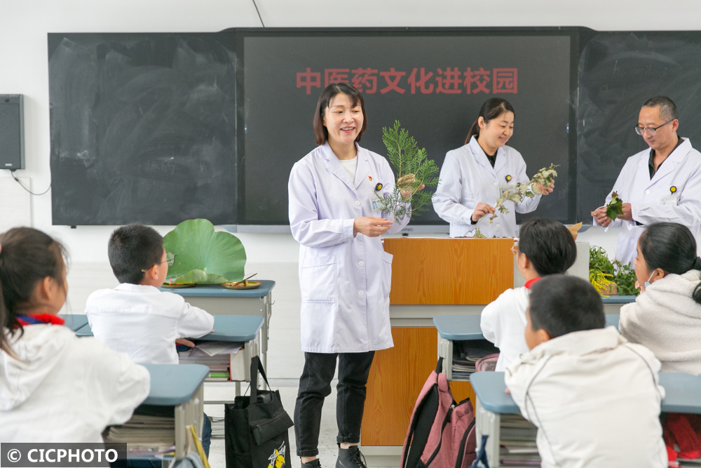 体验中医文化 迎接“世界传统医药日”__财经头条