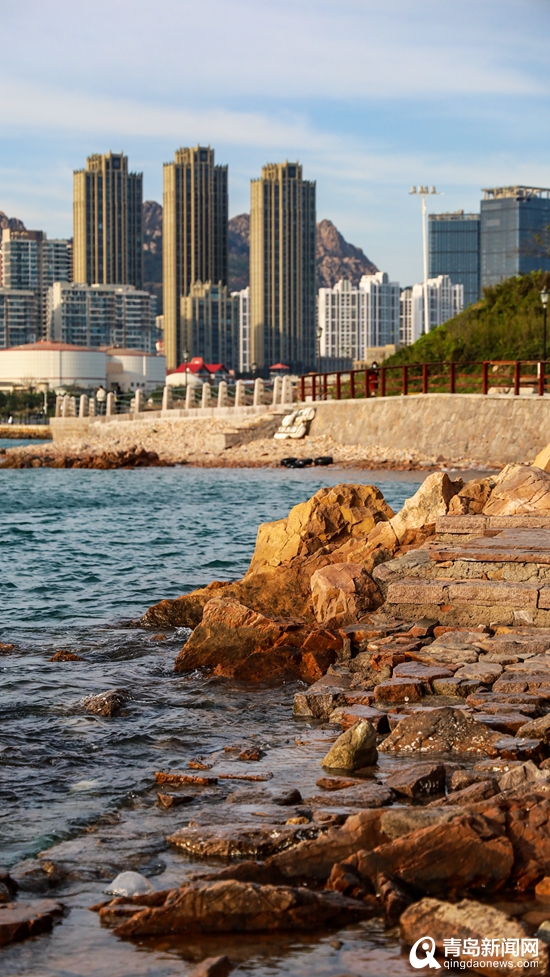 青岛秋日小麦岛迎来专属浪漫 粉黛草引游客打卡|青岛市_新浪新闻