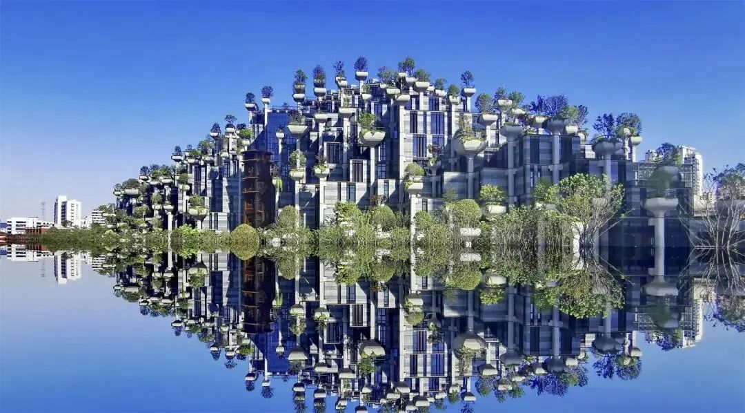 "天安千树"效果图  本文图片均来10月20日,澎湃新闻记者从上海市普陀