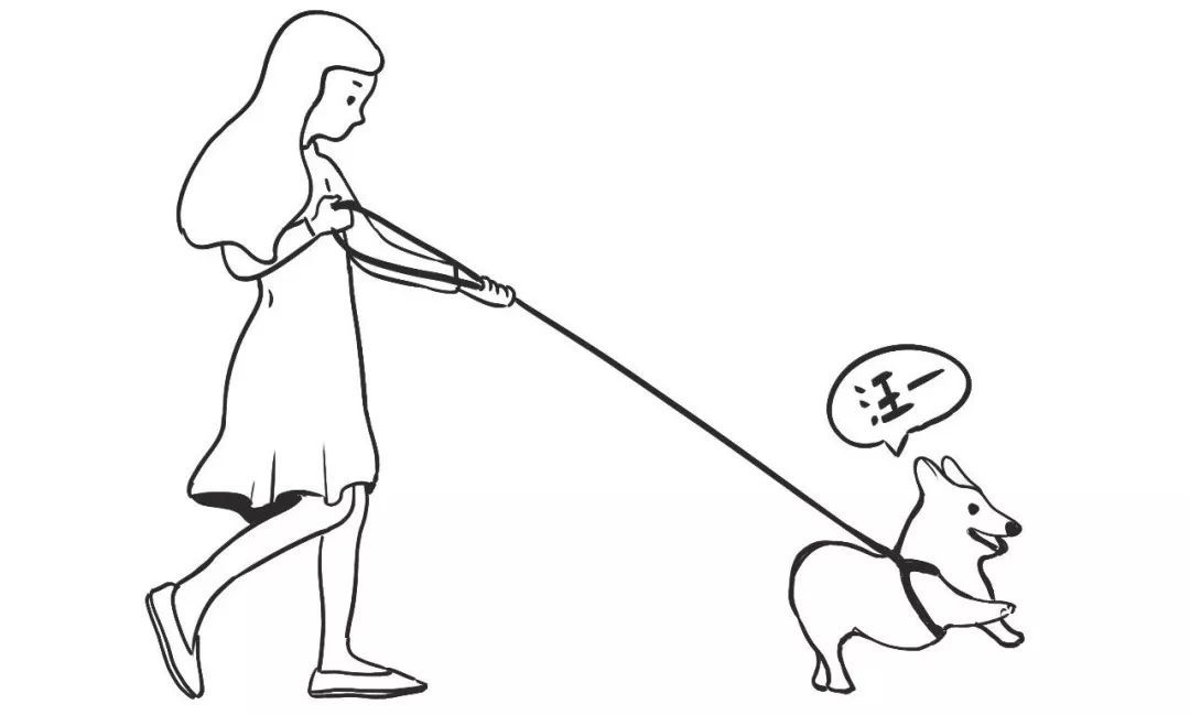 巴州区法院提醒您遛狗牵紧手中的"责任绳"|侵权|巴州区|遛狗_新浪新闻