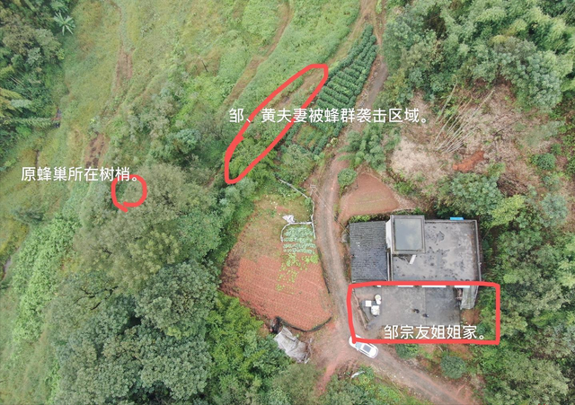 吃席路上无辜惨死，死因竟是“小昆虫”，能有多毒？农民：毒死牛休闲区蓝鸢梦想 - Www.slyday.coM