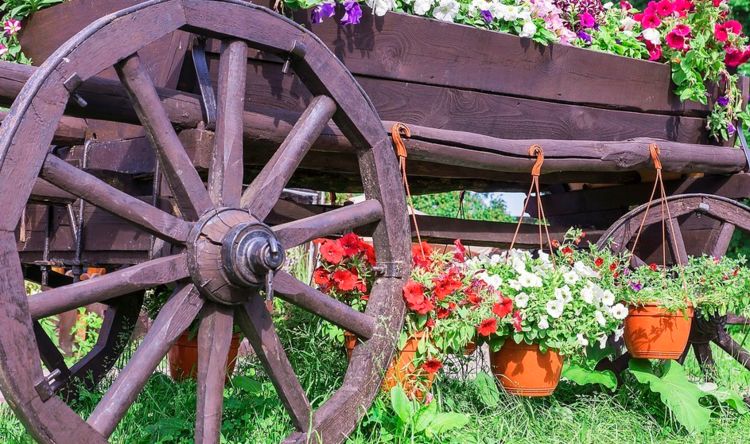 要想养好花，必须好花配好盆，那你知道如何选择适合的花盆吗休闲区蓝鸢梦想 - Www.slyday.coM