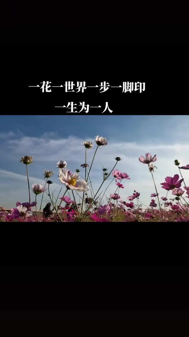 一花一世界 一步一脚印 一生为一人