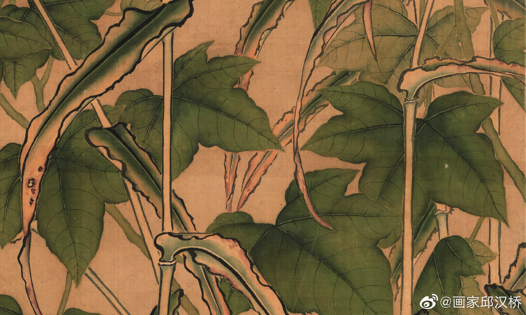 5厘米,横67.9厘米……|芙蓉芦雁图_新浪新闻