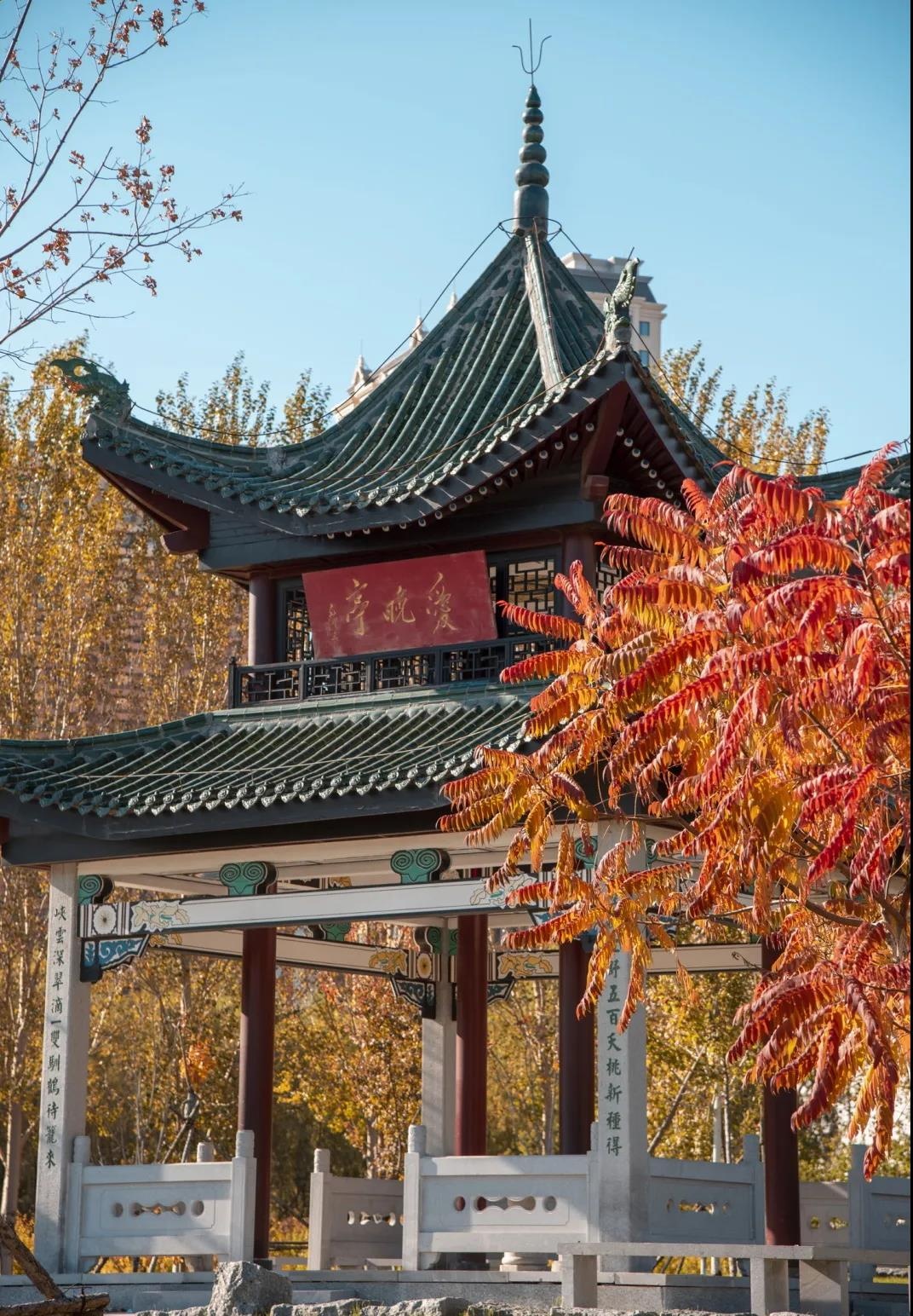 满载一园秋得见东农好风光