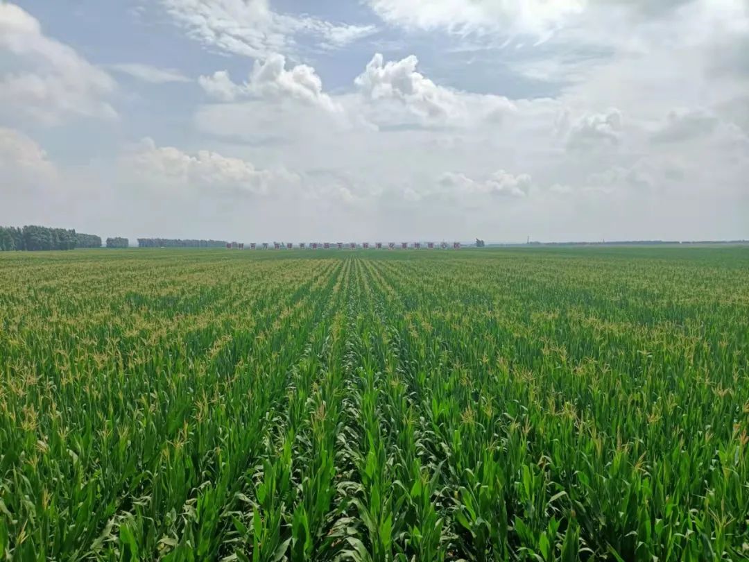 留住秸秆就是留住黑土地