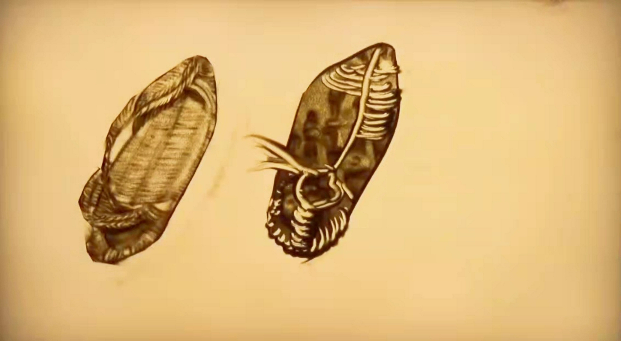 一双草鞋,征服人类生存极限