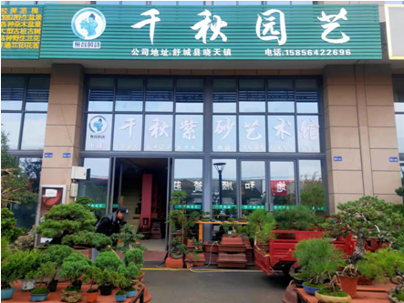 入驻花木城10年,让盆景园艺焕发新生机|安徽省_新浪新闻