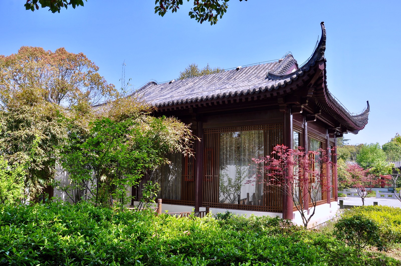 憨叔江湖故事256龙飞扬方亭游武汉东湖龙飞扬一招拟破危局