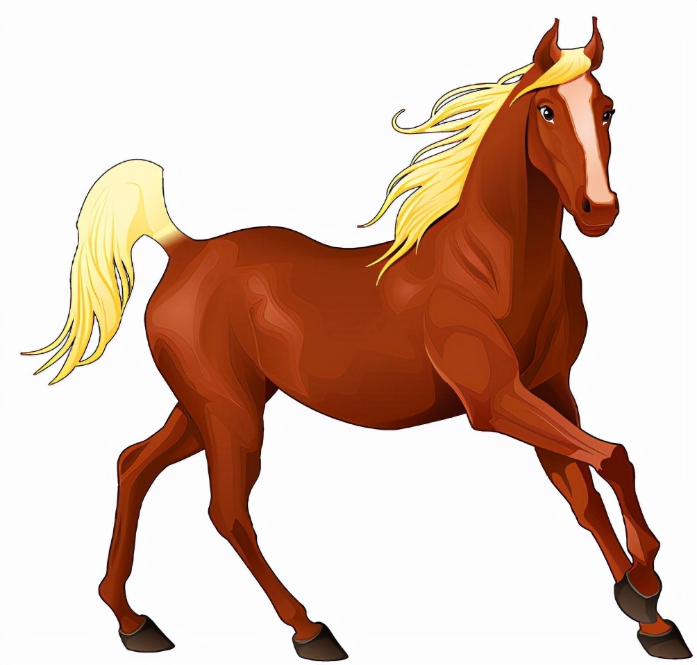 生肖马生肖兔的人天性就非常的低调,他们从来不惹事,虽然人比较低调