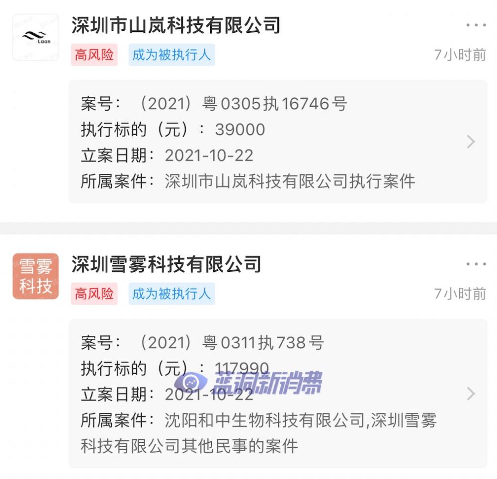 难兄难弟雪加山岚电子烟双双成为被执行人涉及金额近16万元