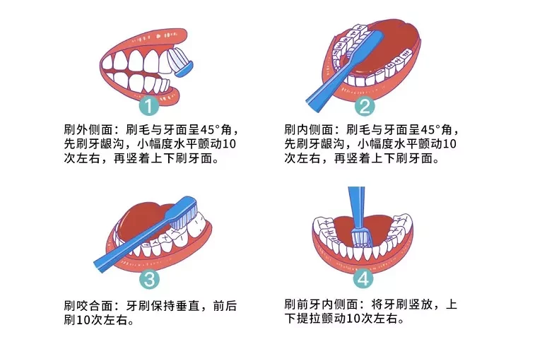 50万人研究:刷牙不当,或增加25%的早死风险!怎么刷牙最干净?休闲区蓝鸢梦想 - Www.slyday.coM 50万人研究:刷牙不当,或增加25%的早死风险!怎么刷牙最干净?休闲区蓝鸢梦想 - Www.slyday.coM
