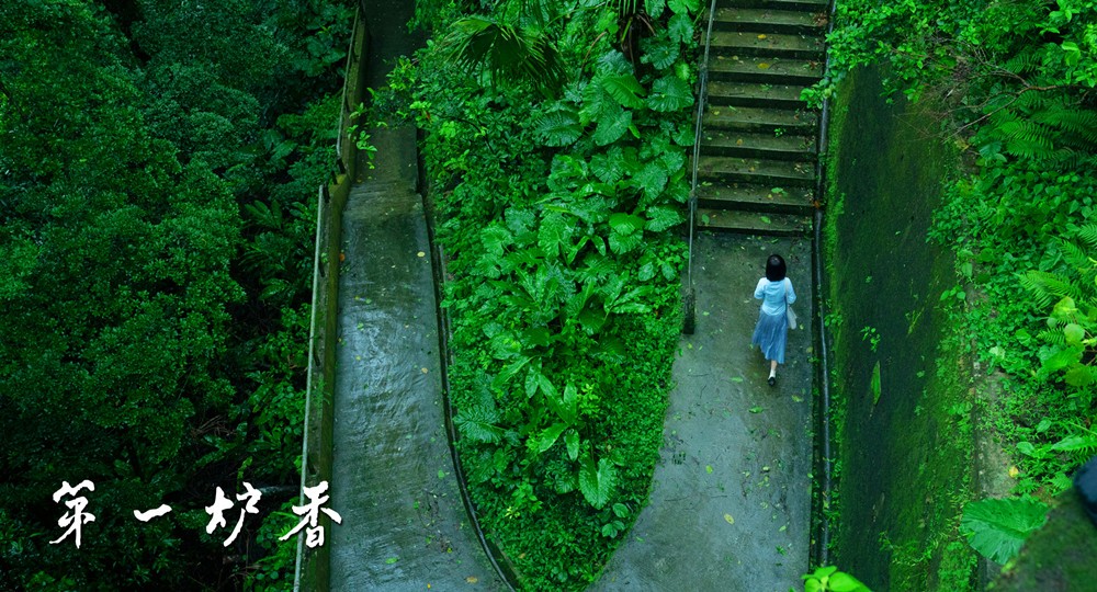 差评无数、全网嘲讽，《第一炉香》成民国油腻版小时代休闲区蓝鸢梦想 - Www.slyday.coM