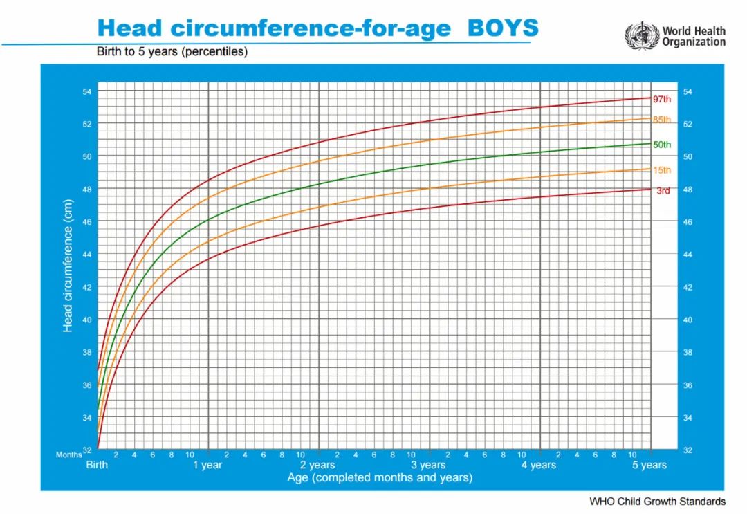 怎么看宝宝头大不大是不是佝偻病的方颅