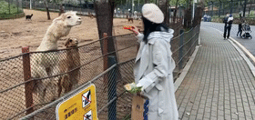 每日一笑：​千万不要在女友面前系鞋带！害得女友误会了…休闲区蓝鸢梦想 - Www.slyday.coM