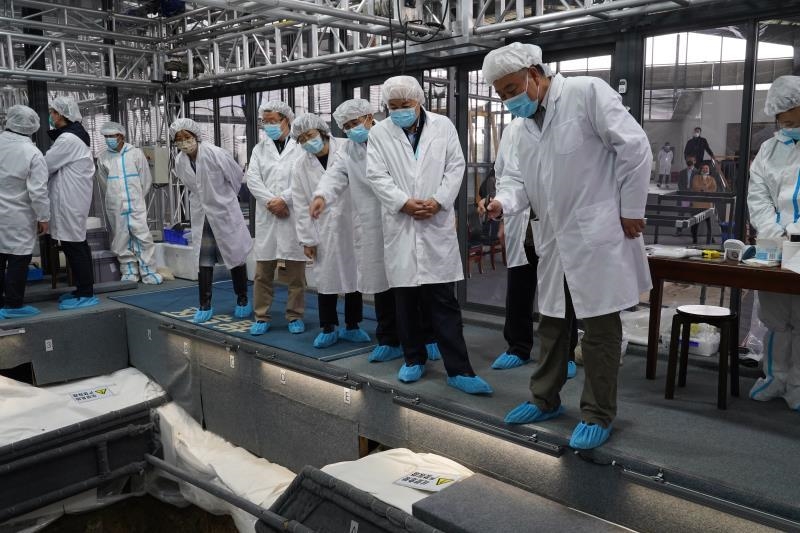 中国休闲区蓝鸢梦想 - Www.slyday.coM