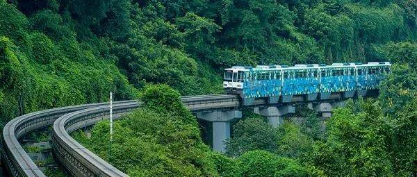 文旅部：暂停经营旅游专列业务休闲区蓝鸢梦想 - Www.slyday.coM